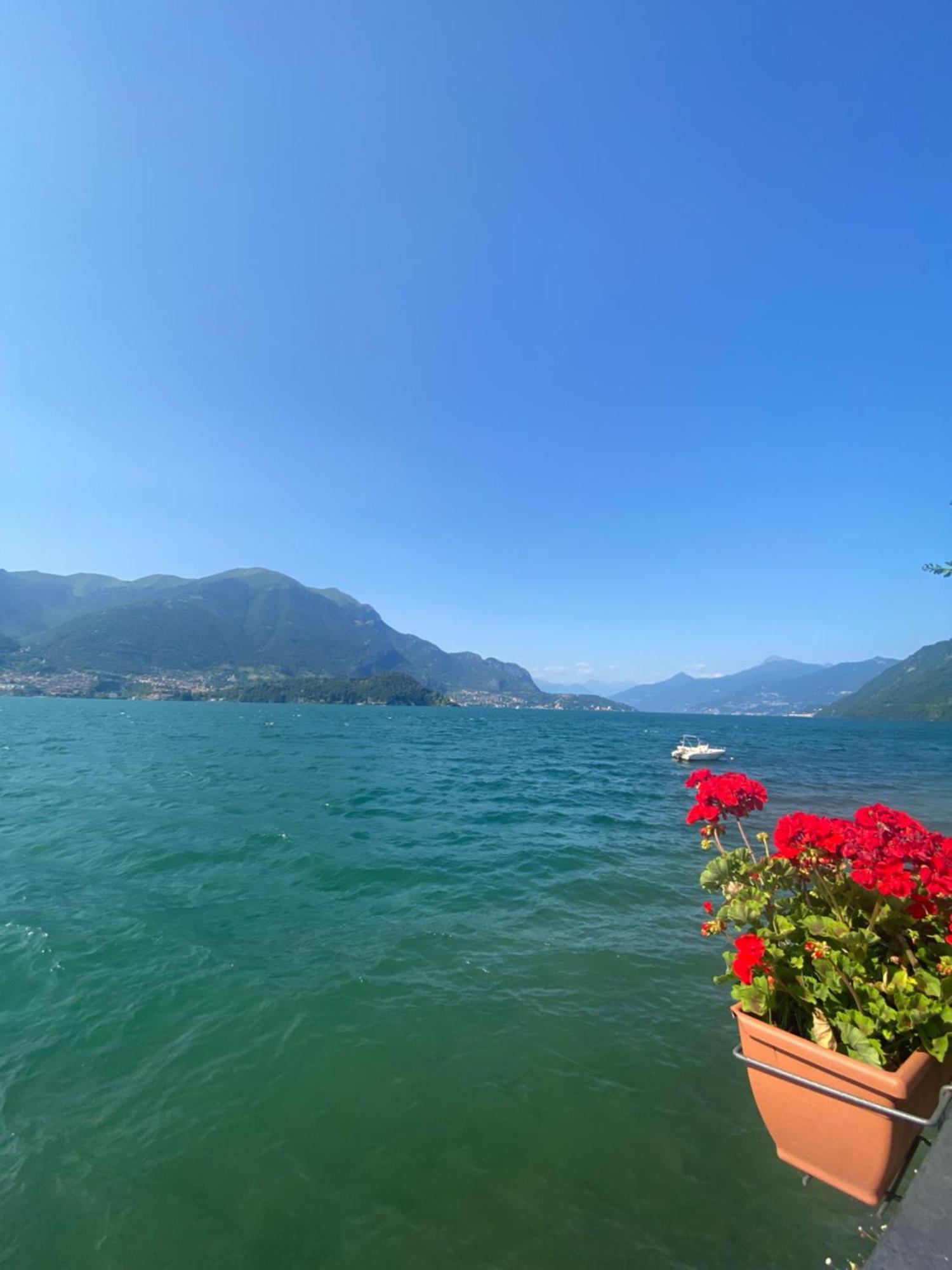 Peonia Apartment - Appartamento Vista Lago 勒泽诺 外观 照片