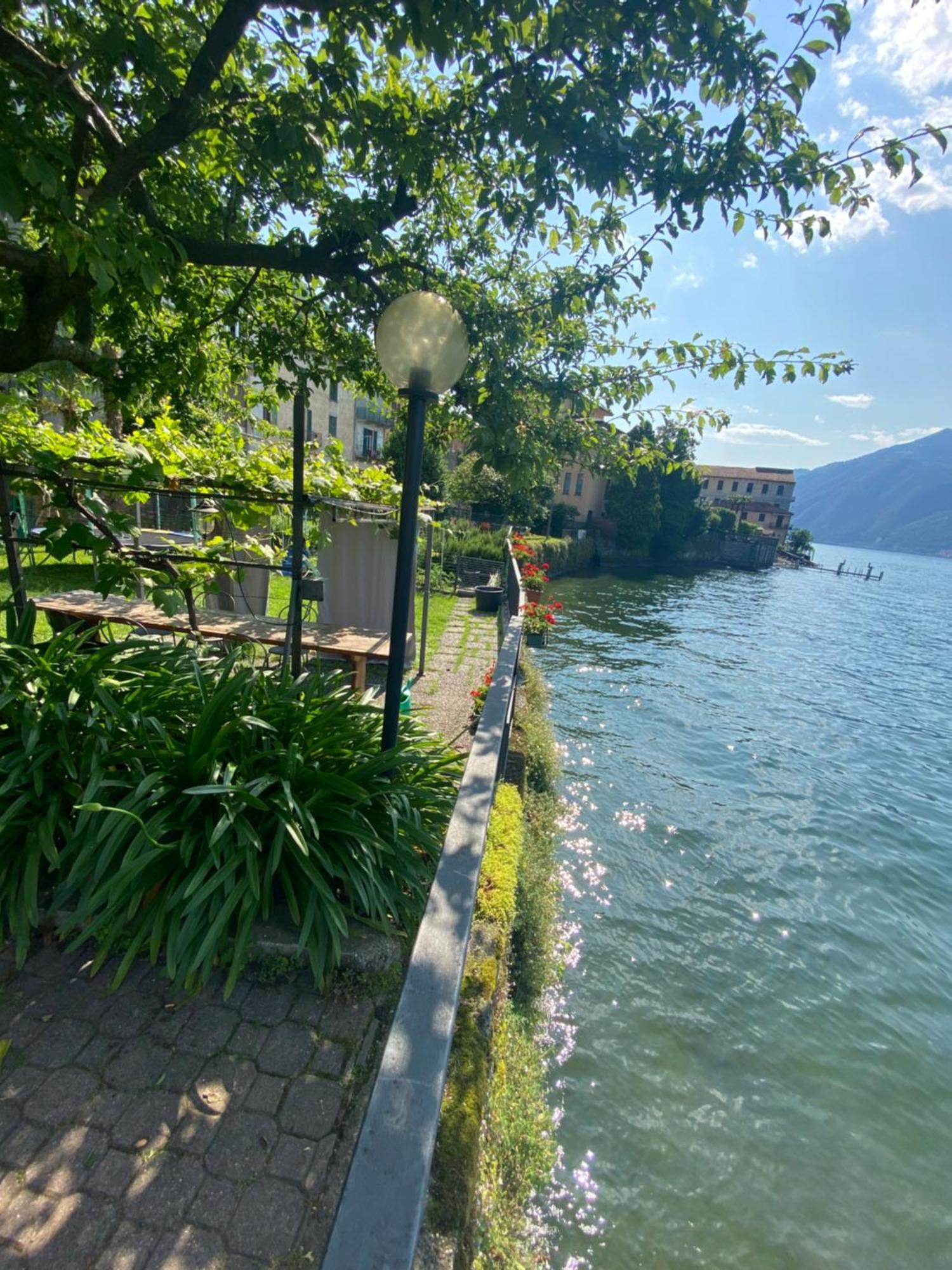 Peonia Apartment - Appartamento Vista Lago 勒泽诺 外观 照片