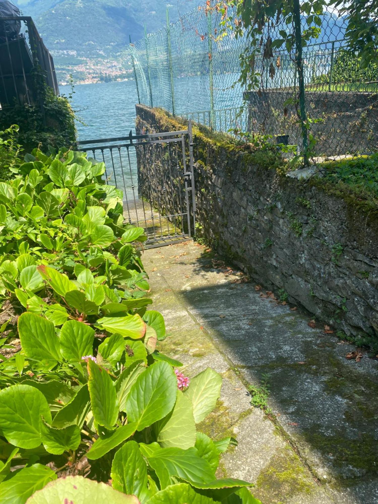 Peonia Apartment - Appartamento Vista Lago 勒泽诺 外观 照片