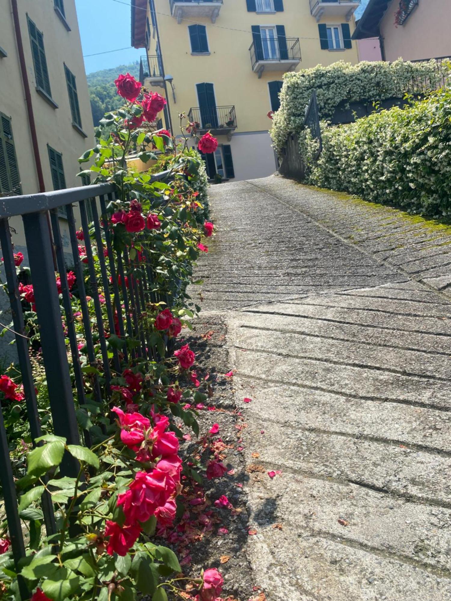 Peonia Apartment - Appartamento Vista Lago 勒泽诺 外观 照片