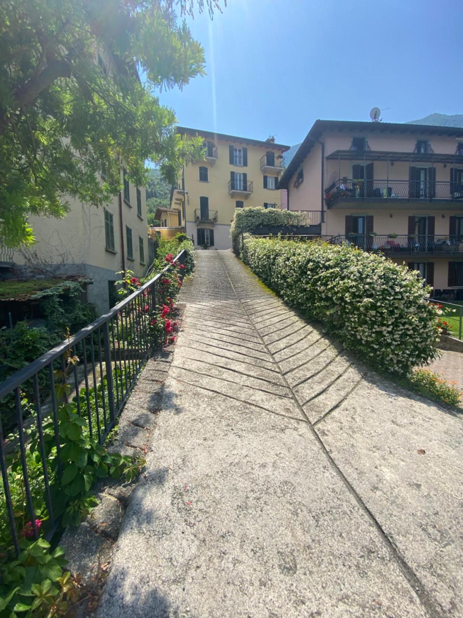 Peonia Apartment - Appartamento Vista Lago 勒泽诺 外观 照片