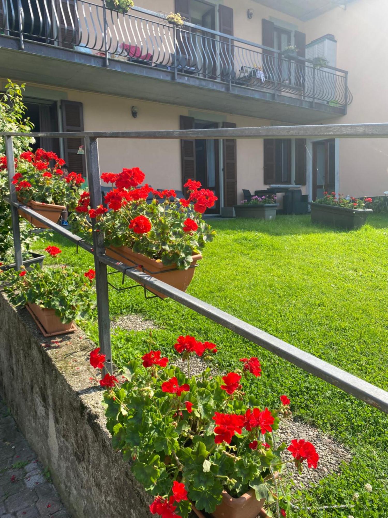 Peonia Apartment - Appartamento Vista Lago 勒泽诺 外观 照片