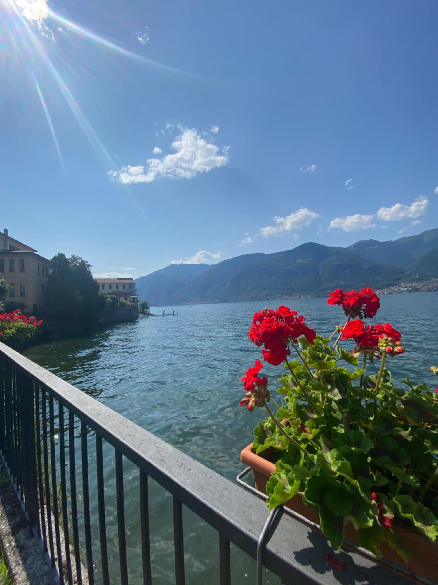 Peonia Apartment - Appartamento Vista Lago 勒泽诺 外观 照片