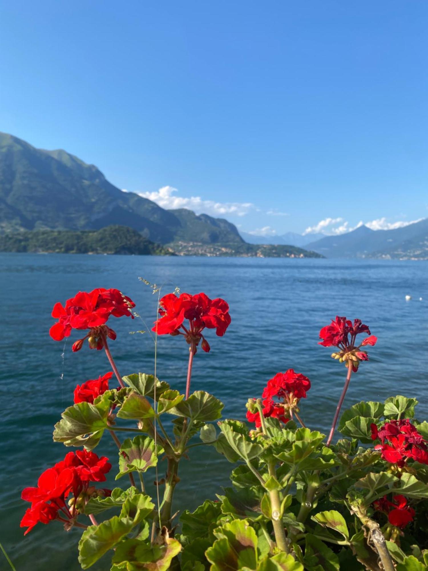Peonia Apartment - Appartamento Vista Lago 勒泽诺 外观 照片