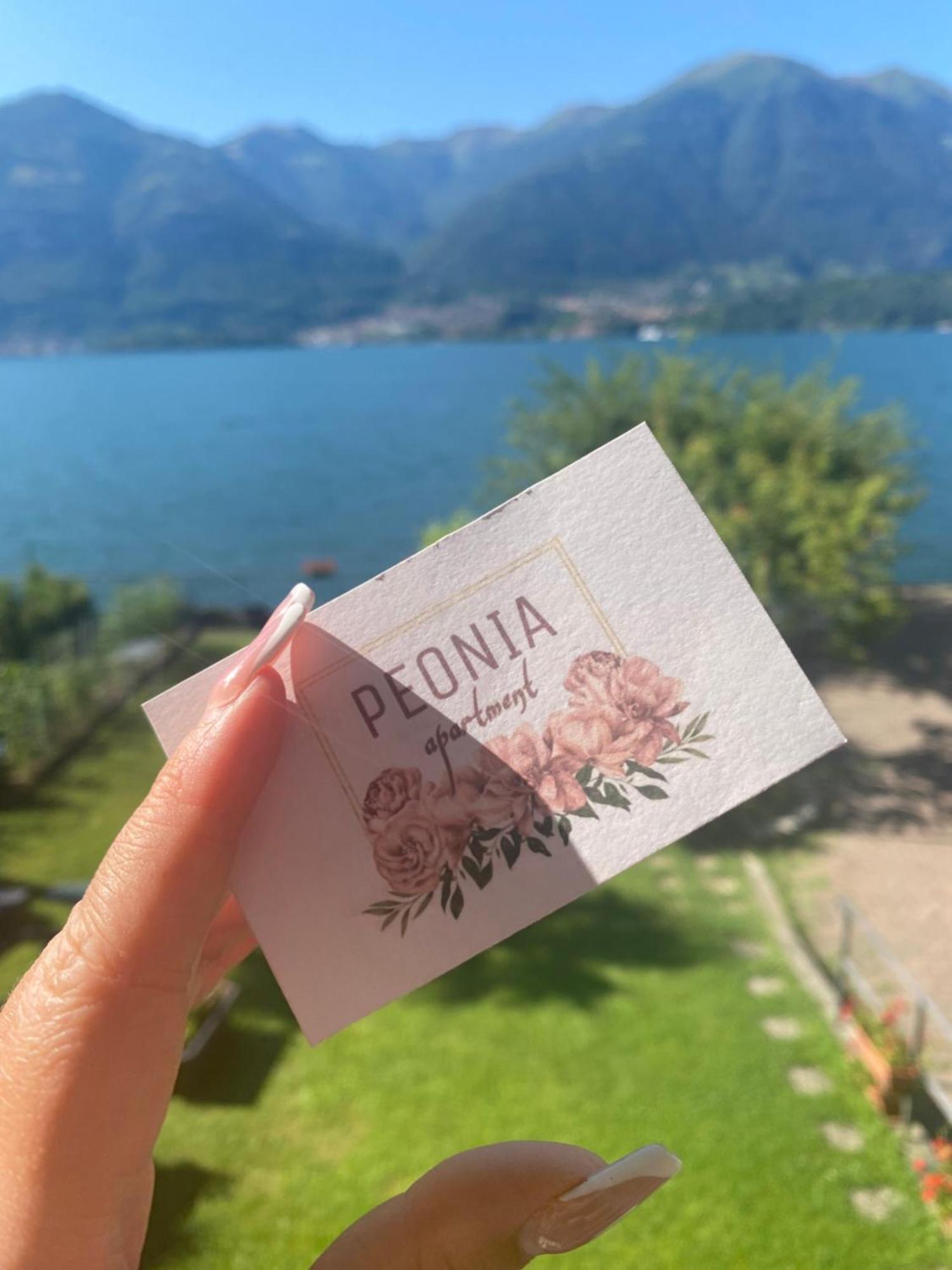 Peonia Apartment - Appartamento Vista Lago 勒泽诺 外观 照片