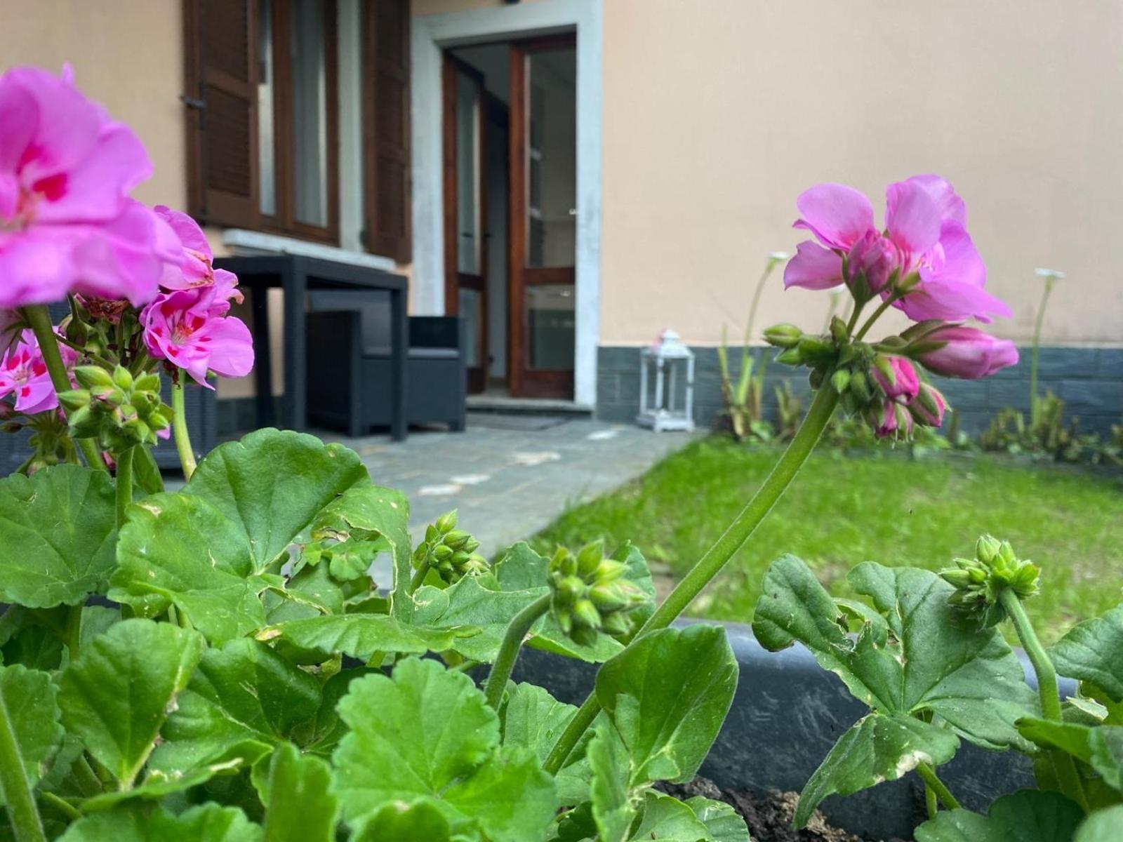 Peonia Apartment - Appartamento Vista Lago 勒泽诺 外观 照片