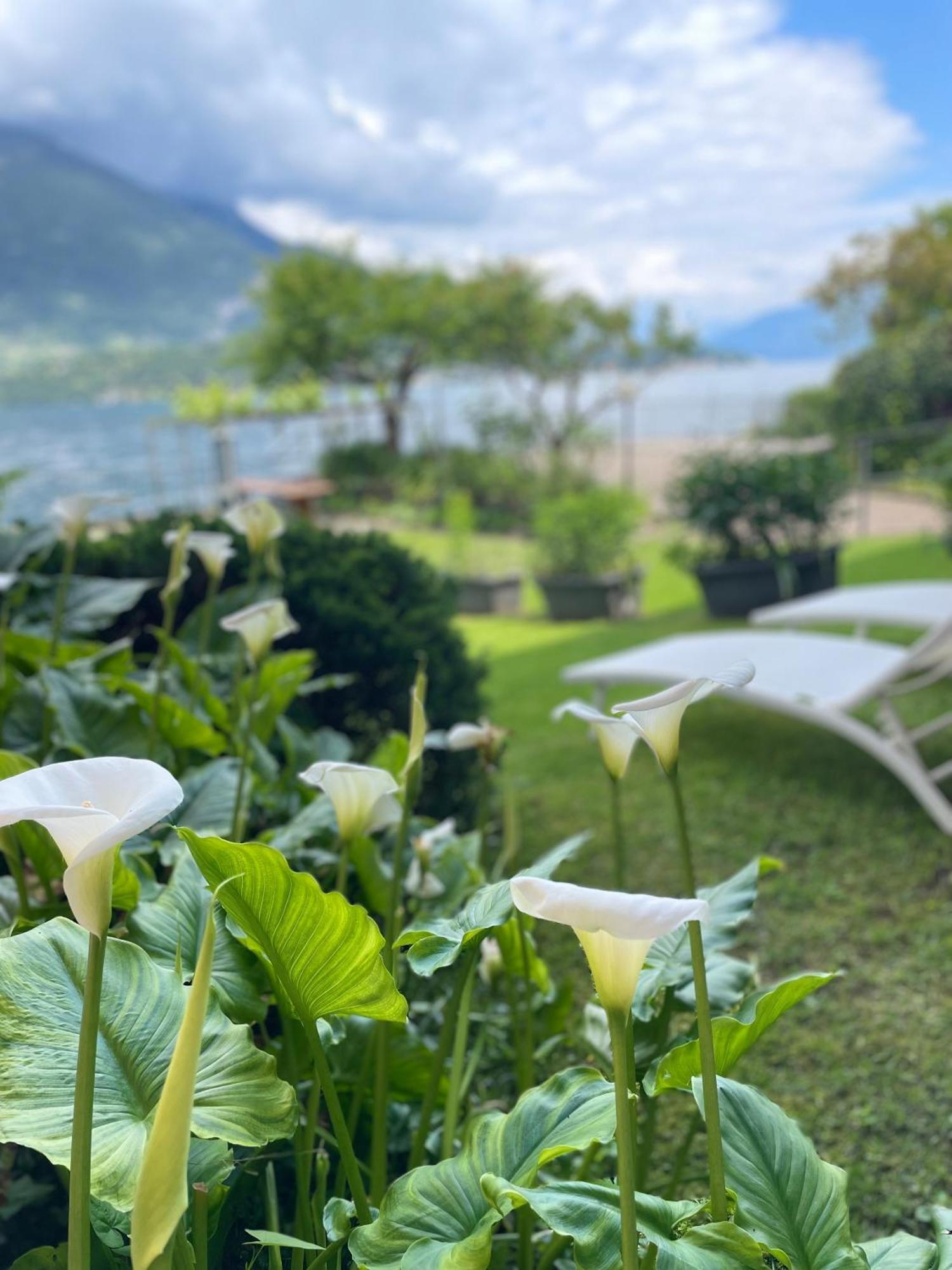 Peonia Apartment - Appartamento Vista Lago 勒泽诺 外观 照片